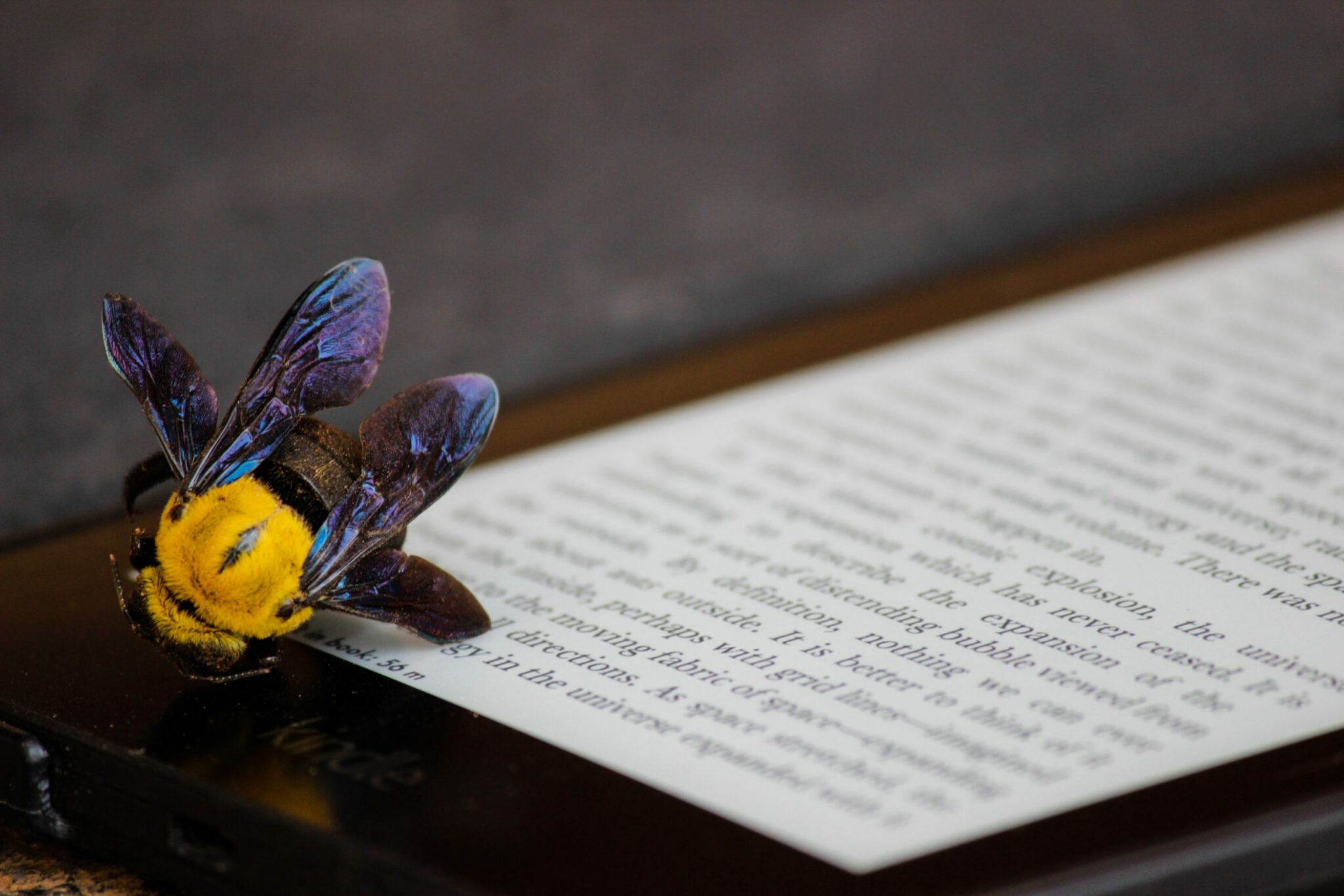 how to read the text file in pyspark